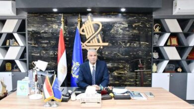 الدكتور إسماعيل كمال محافظ أسوان