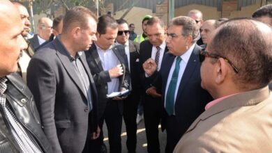 محافظ الدقهلية