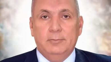 محافظ الوادى الجديد