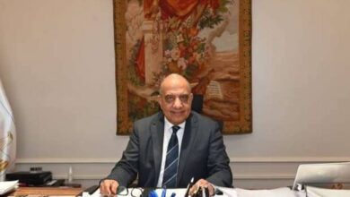 الدكتور محمود عصمت وزير الكهرباء