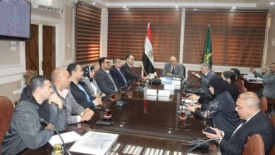 محافظ القليوبية