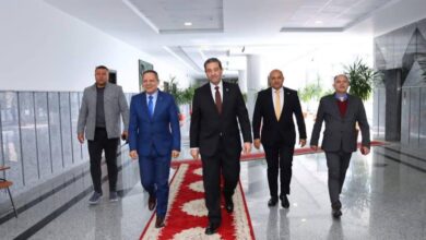 محافظ دمياط