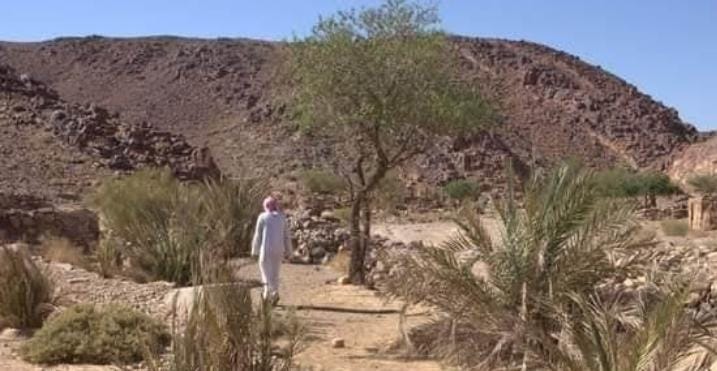 جنوب سينا