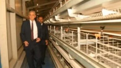 محافظ الغربية