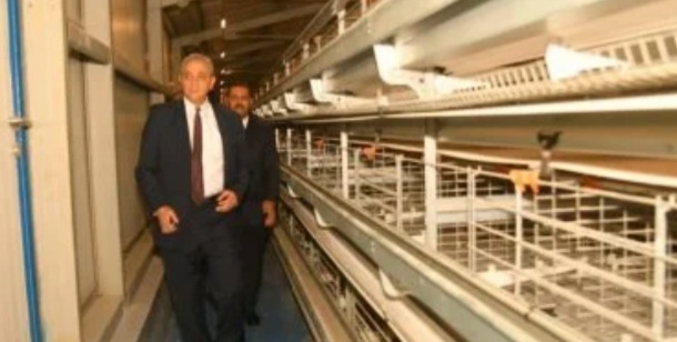 محافظ الغربية