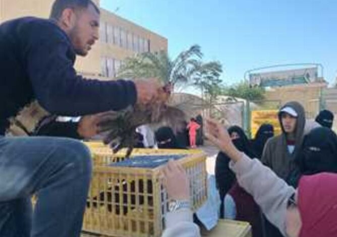 مديرية الزراعة بجنوب سيناء