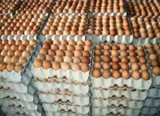 أسعار البيض