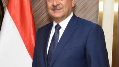 وزير قطاع الأعمال المهندس محمد الشيمي