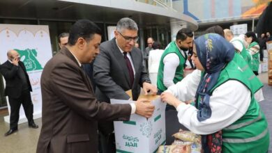 محافظ الجيزة