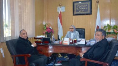 نائب محافظ الوادي