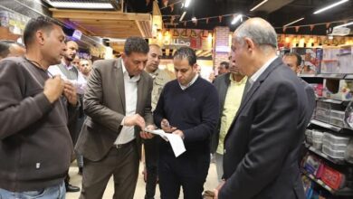 محافظ المنيا