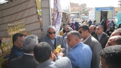 محافظ الوادي الجديد