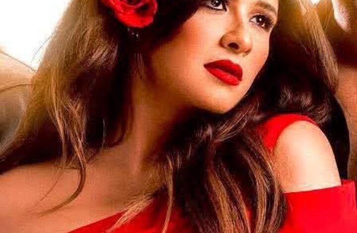 ياسمين عبد العزيز