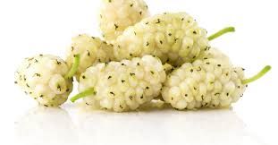 فوائد التوت الأبيض