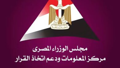 الصناعات الغذائية المصرية تحقق 6.9 مليار دولار
