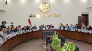 وزير الكهرباء