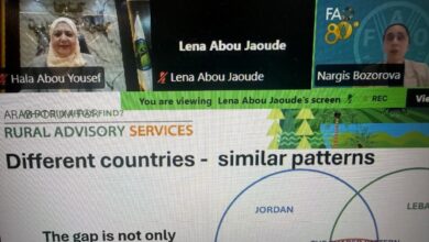 وبينار والفاو