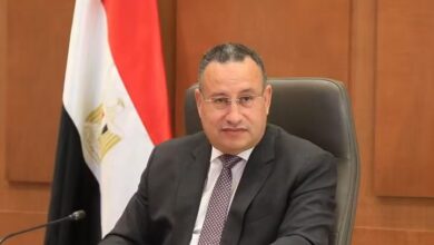 الدكتور عبدالعزيز قنصوة، وزير التعليم العالي