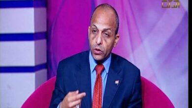 فارس حسني أمين عام نقابة السياحيين