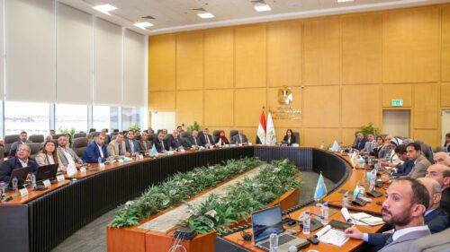 المرحلة الأولى من «حياة كريمة»