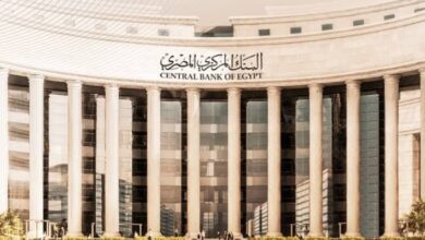 البنك المركزي والضغوط الخارجية