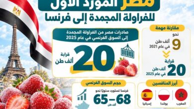 الفراولة المجمدة