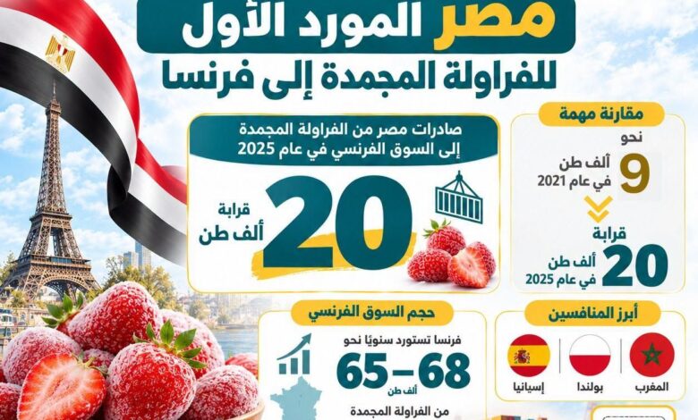 الفراولة المجمدة